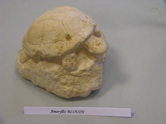Amaryllis BLOUIN